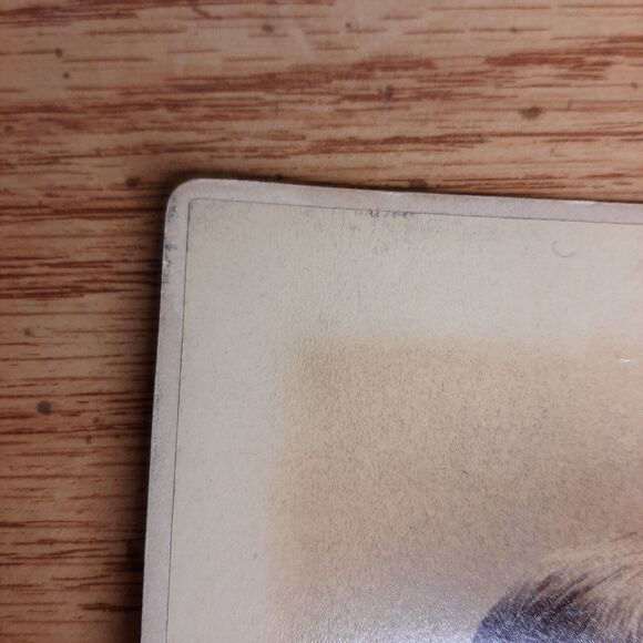 Cabinet Card Photo Austen Hoppin Fox NYC Union Square George Rockwood - Picture 6 of 11